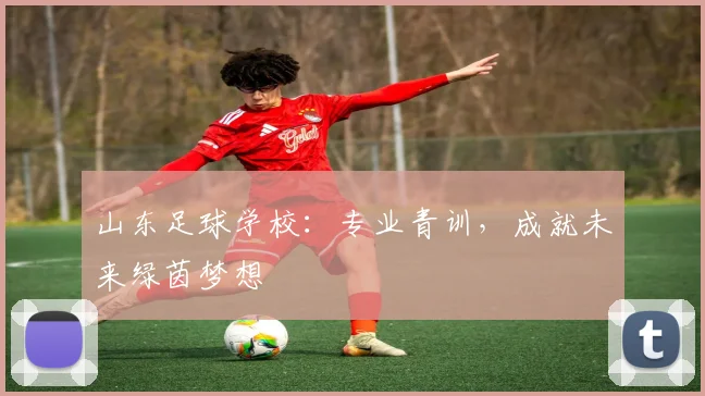 山东足球学校：专业青训，成就未来绿茵梦想