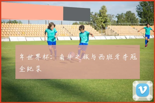 年世界杯：南非之旅与西班牙夺冠全纪录